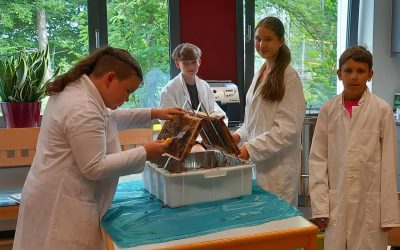 Ein Höhepunkt des Bienenjahres: Honigernte an der Schulimkere
