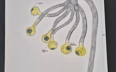 Glas und Licht – Preisverleihung in Zwiesel