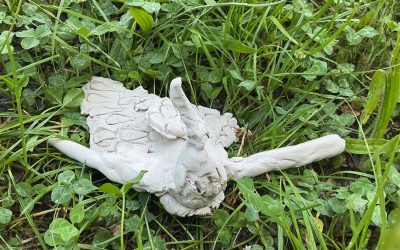 Vom Wald lernen, miteinander wachsen