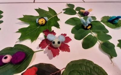 Wildbienen: Natur trifft Kunst